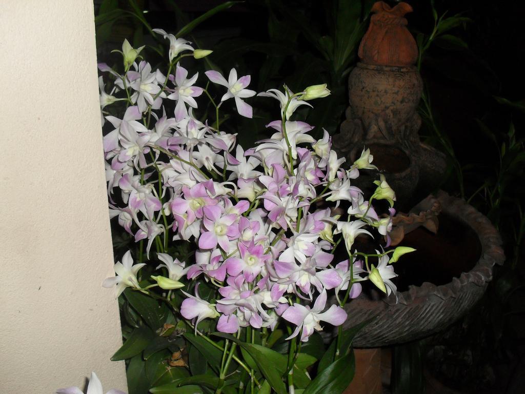 Your House 3 Guest House Chiang Mai Eksteriør bilde